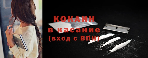 твердый Арсеньев