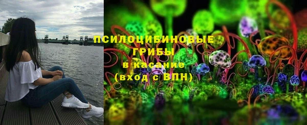 твердый Арсеньев