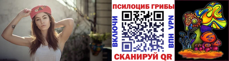 где продают   Вилюйск  Галлюциногенные грибы Magic Shrooms 